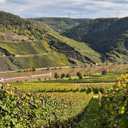 Weingut Mathy-Schanz Osann-Monzel Exterior photo