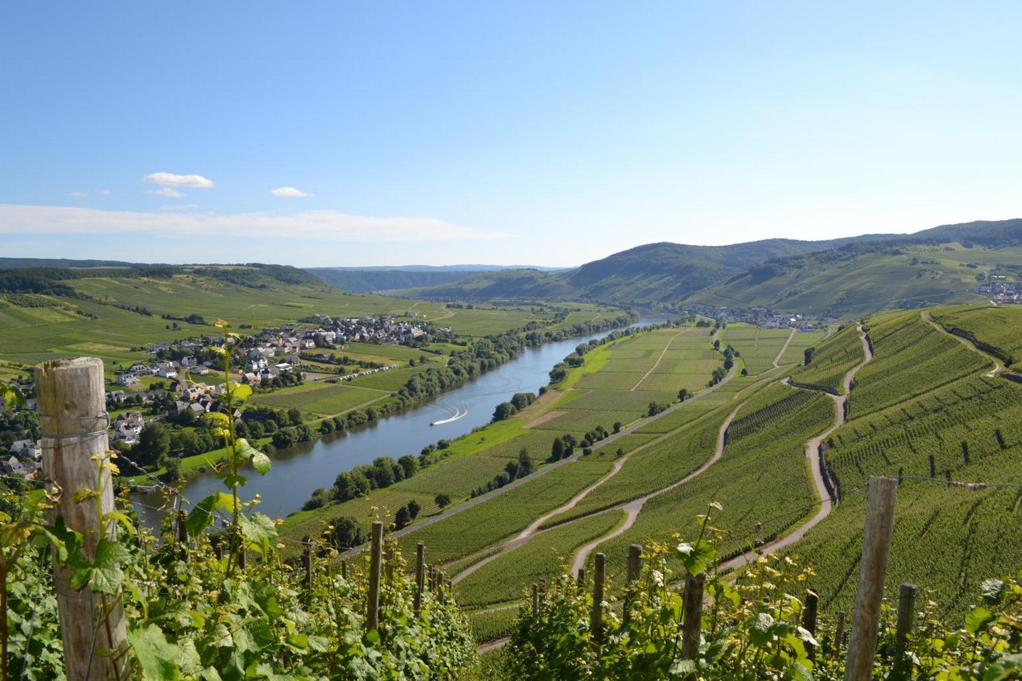 Weingut Mathy-Schanz Osann-Monzel Exterior photo